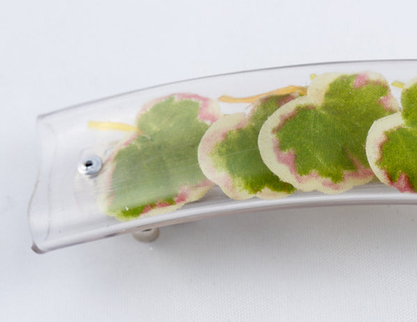 Barrettes - Surprise