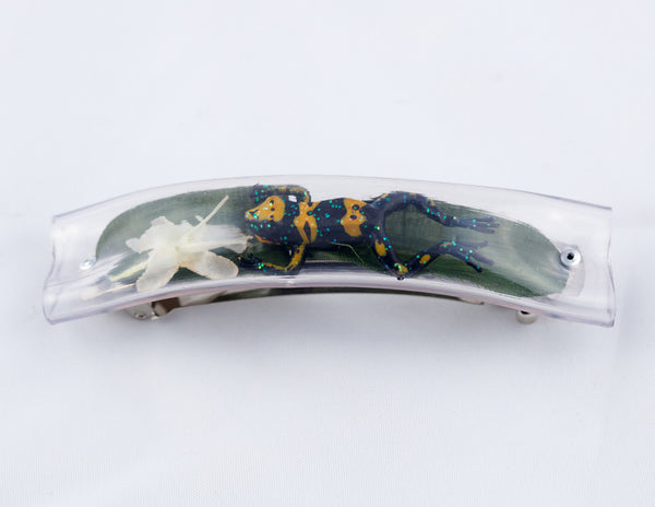 Barrettes - Surprise